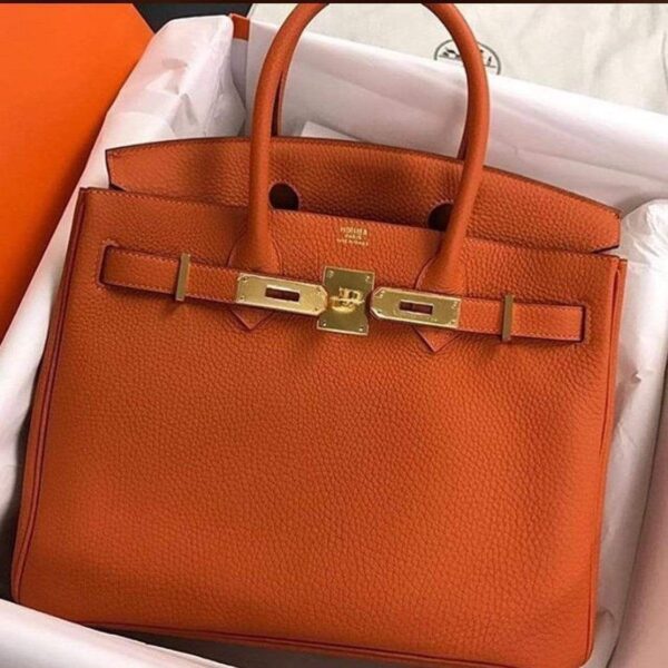 Hermes Orange Hand Bag