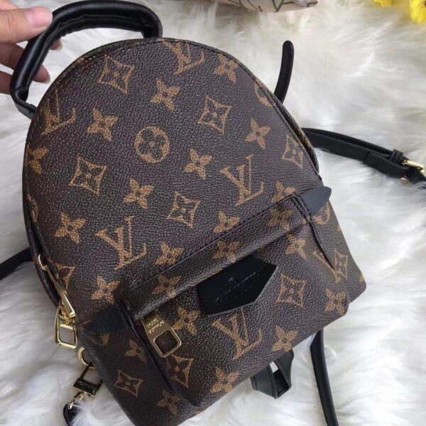 LV Coffee Palm Spring Mini Backpack